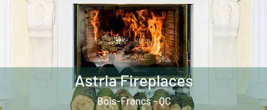  Astria Fireplaces Bois-Francs - QC