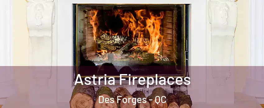  Astria Fireplaces Des Forges - QC