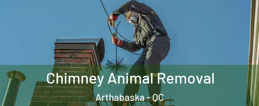  Chimney Animal Removal Arthabaska - QC