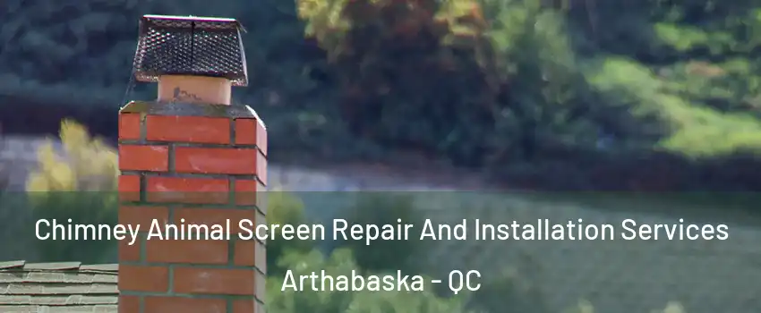  Chimney Animal Screen Repair And Installation Services Arthabaska - QC