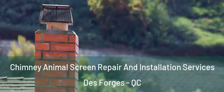 Chimney Animal Screen Repair And Installation Services Des Forges - QC