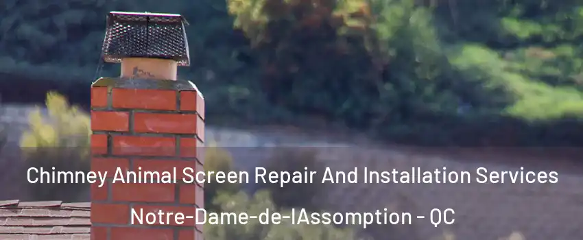  Chimney Animal Screen Repair And Installation Services Notre-Dame-de-lAssomption - QC
