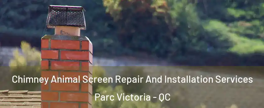  Chimney Animal Screen Repair And Installation Services Parc Victoria - QC