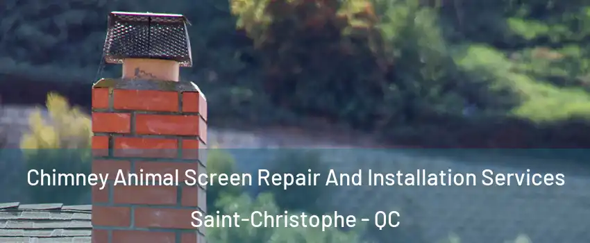  Chimney Animal Screen Repair And Installation Services Saint-Christophe - QC