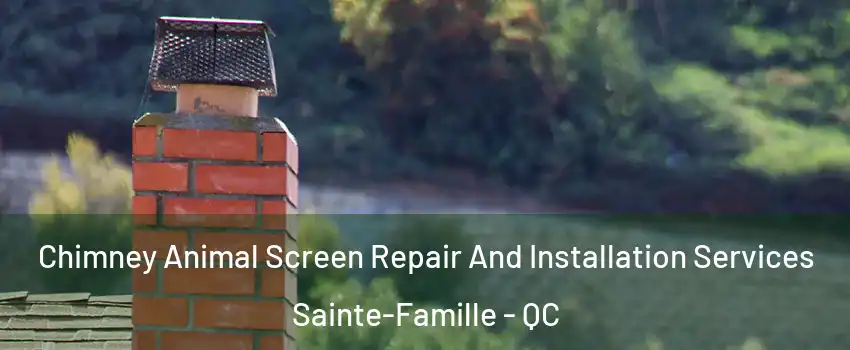  Chimney Animal Screen Repair And Installation Services Sainte-Famille - QC