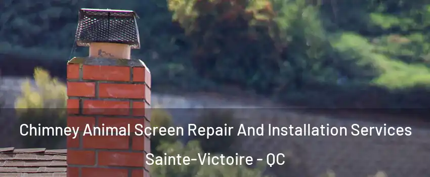  Chimney Animal Screen Repair And Installation Services Sainte-Victoire - QC