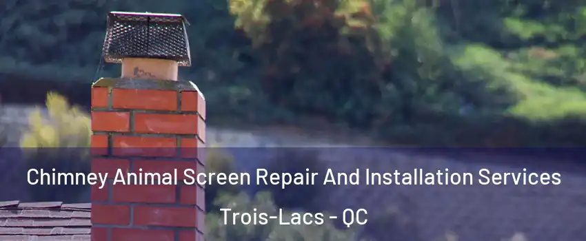  Chimney Animal Screen Repair And Installation Services Trois-Lacs - QC