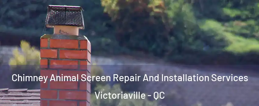  Chimney Animal Screen Repair And Installation Services Victoriaville - QC