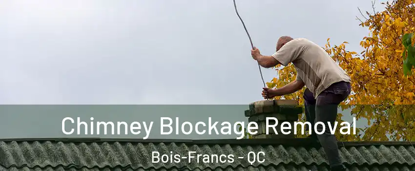  Chimney Blockage Removal Bois-Francs - QC