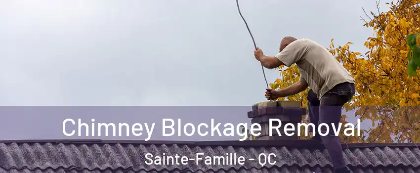 Chimney Blockage Removal Sainte-Famille - QC