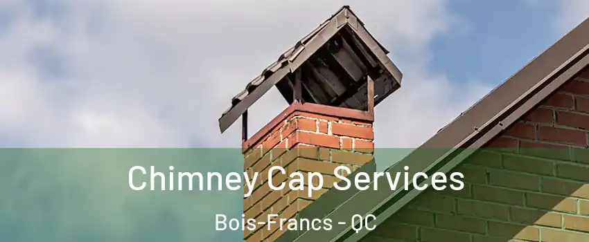  Chimney Cap Services Bois-Francs - QC