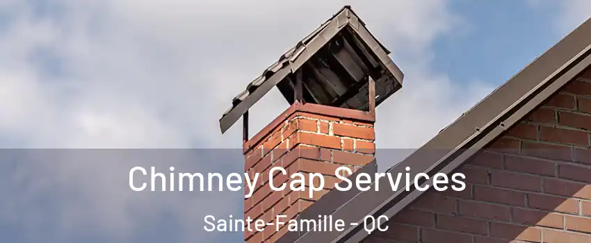  Chimney Cap Services Sainte-Famille - QC