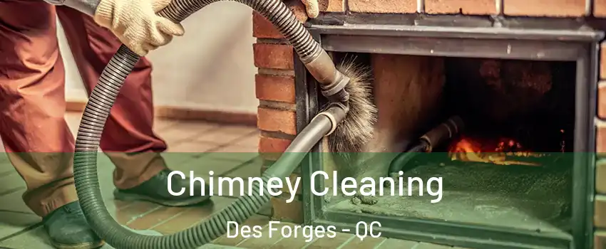  Chimney Cleaning Des Forges - QC
