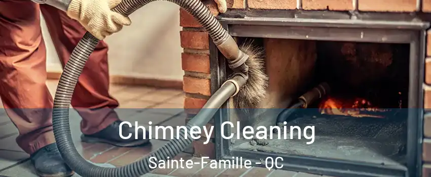  Chimney Cleaning Sainte-Famille - QC