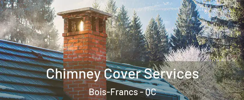  Chimney Cover Services Bois-Francs - QC