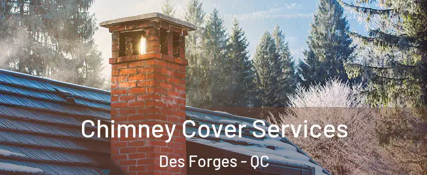  Chimney Cover Services Des Forges - QC