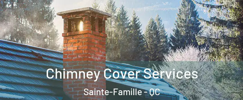  Chimney Cover Services Sainte-Famille - QC