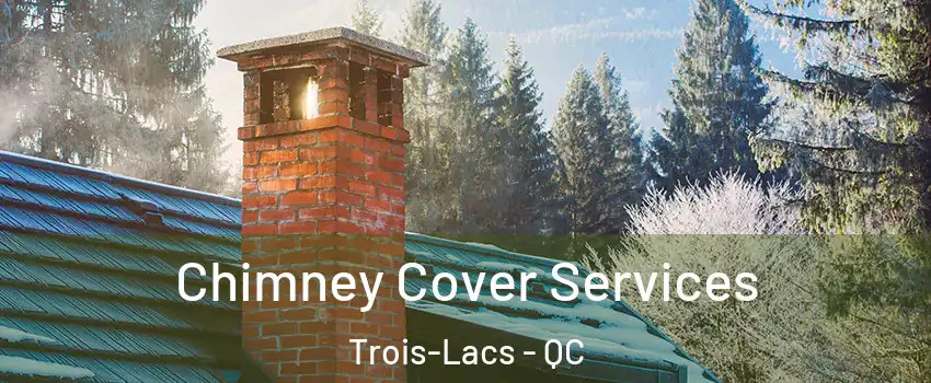  Chimney Cover Services Trois-Lacs - QC