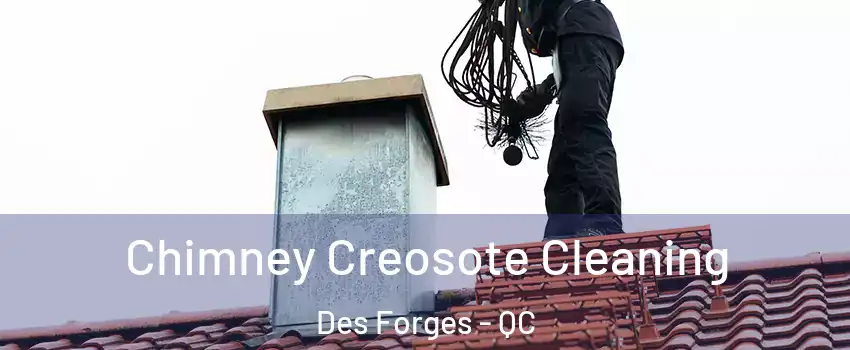  Chimney Creosote Cleaning Des Forges - QC