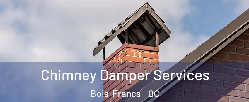  Chimney Damper Services Bois-Francs - QC