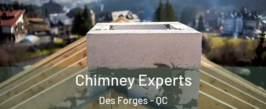  Chimney Experts Des Forges - QC
