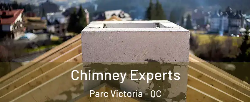 Chimney Experts Parc Victoria - QC
