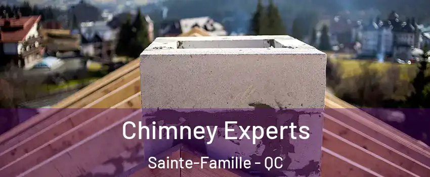 Chimney Experts Sainte-Famille - QC