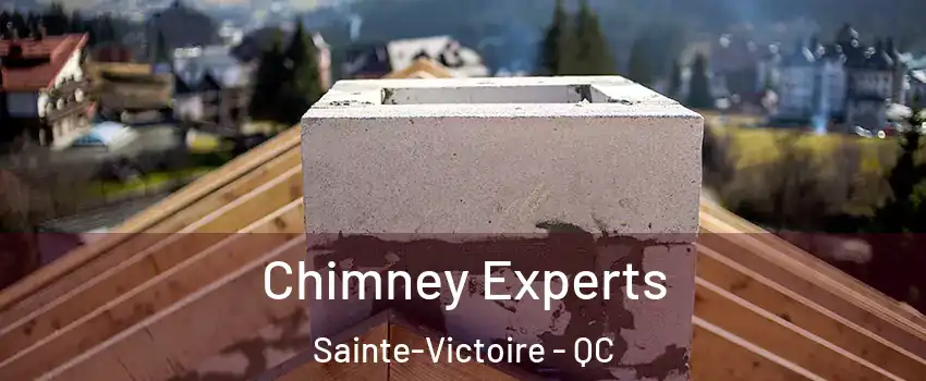  Chimney Experts Sainte-Victoire - QC