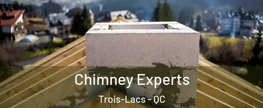  Chimney Experts Trois-Lacs - QC