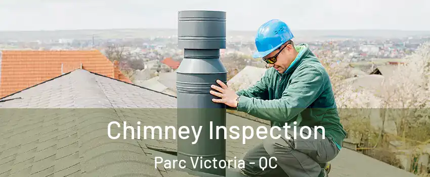 Chimney Inspection Parc Victoria - QC