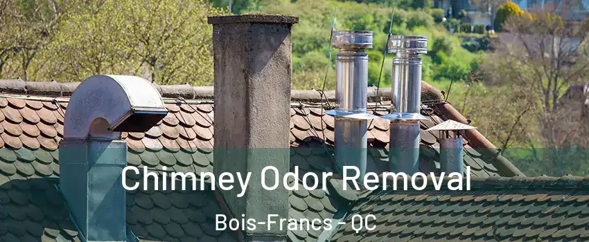 Chimney Odor Removal Bois-Francs - QC