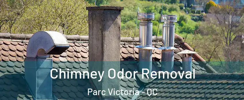  Chimney Odor Removal Parc Victoria - QC