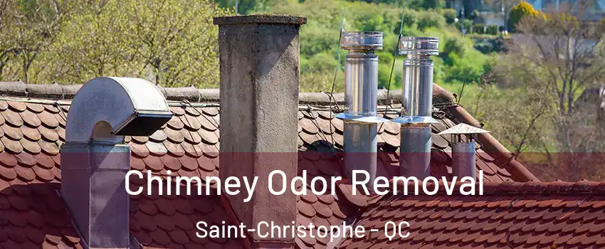  Chimney Odor Removal Saint-Christophe - QC