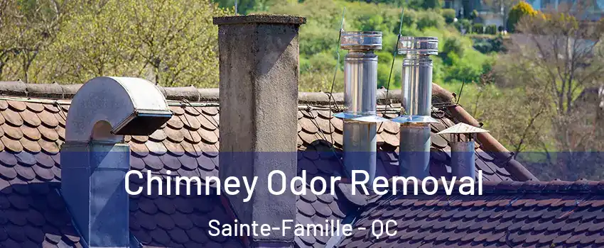  Chimney Odor Removal Sainte-Famille - QC