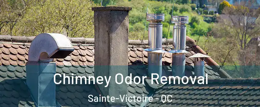  Chimney Odor Removal Sainte-Victoire - QC