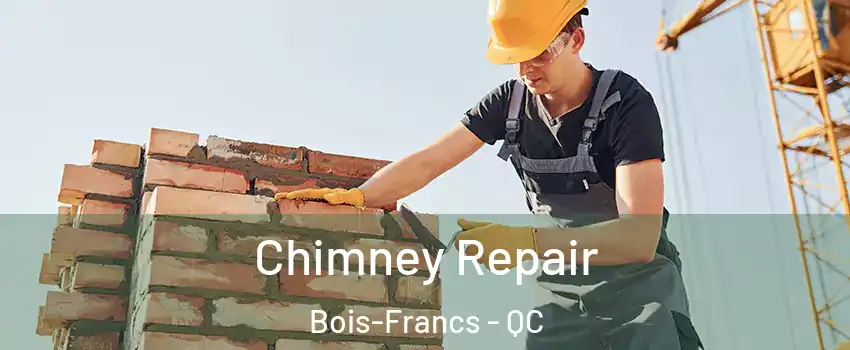  Chimney Repair Bois-Francs - QC