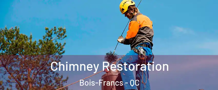  Chimney Restoration Bois-Francs - QC