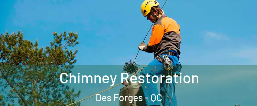  Chimney Restoration Des Forges - QC