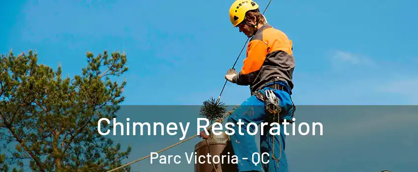  Chimney Restoration Parc Victoria - QC
