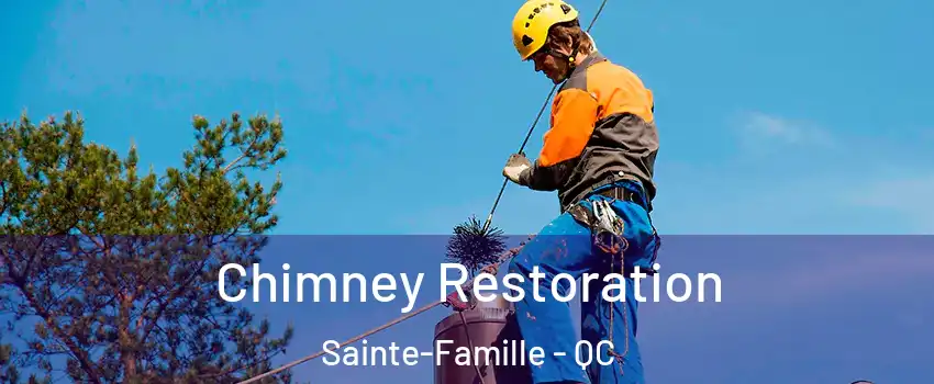  Chimney Restoration Sainte-Famille - QC