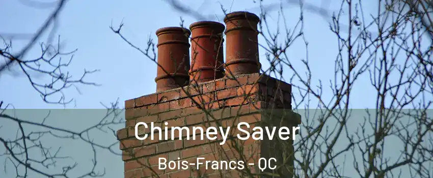  Chimney Saver Bois-Francs - QC