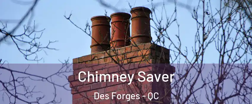  Chimney Saver Des Forges - QC