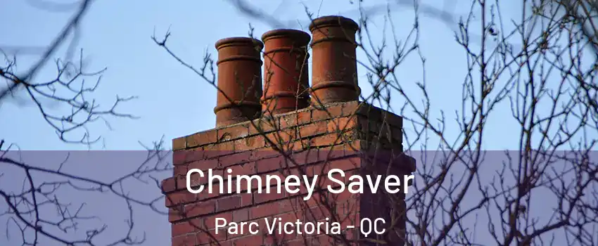  Chimney Saver Parc Victoria - QC