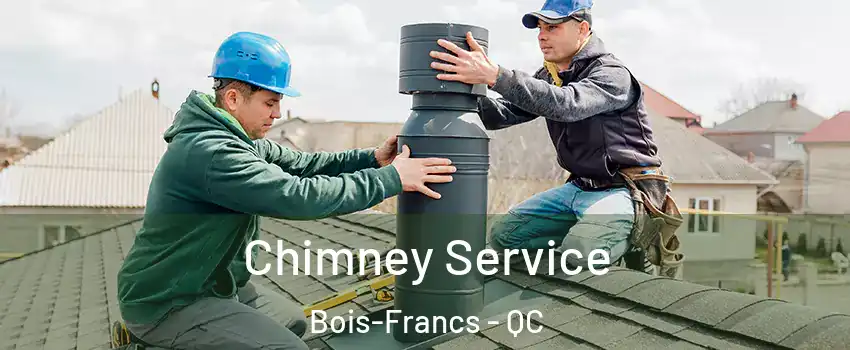  Chimney Service Bois-Francs - QC