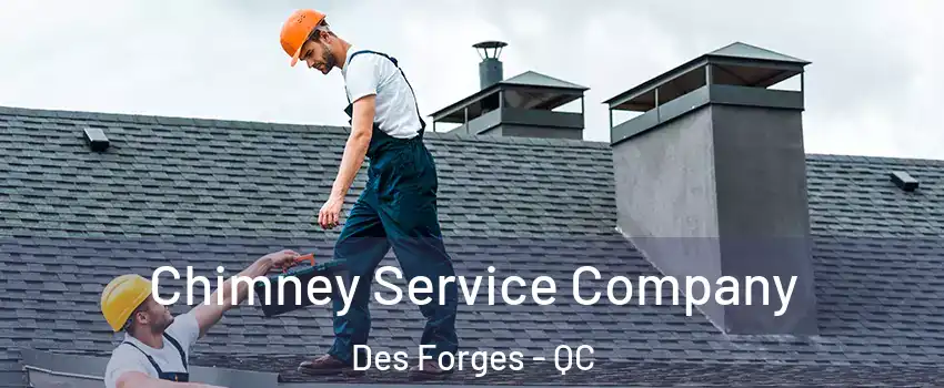  Chimney Service Company Des Forges - QC