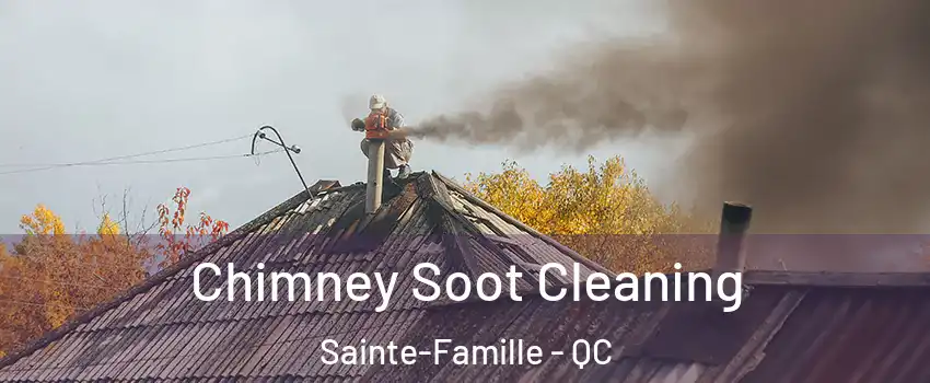  Chimney Soot Cleaning Sainte-Famille - QC