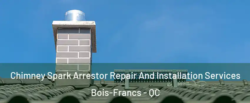  Chimney Spark Arrestor Repair And Installation Services Bois-Francs - QC