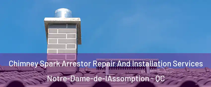  Chimney Spark Arrestor Repair And Installation Services Notre-Dame-de-lAssomption - QC