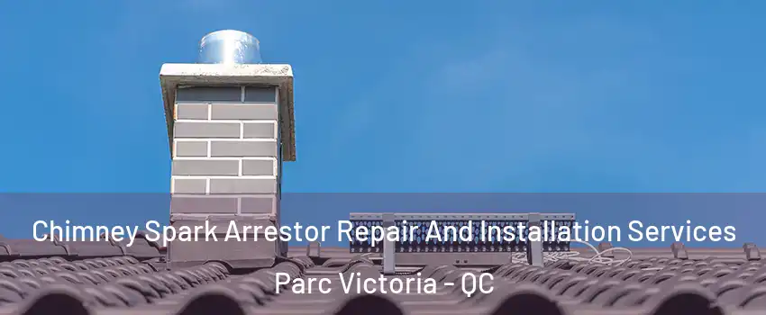  Chimney Spark Arrestor Repair And Installation Services Parc Victoria - QC