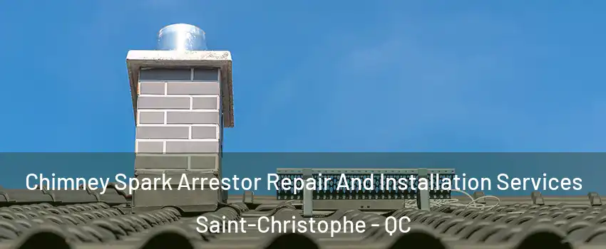  Chimney Spark Arrestor Repair And Installation Services Saint-Christophe - QC